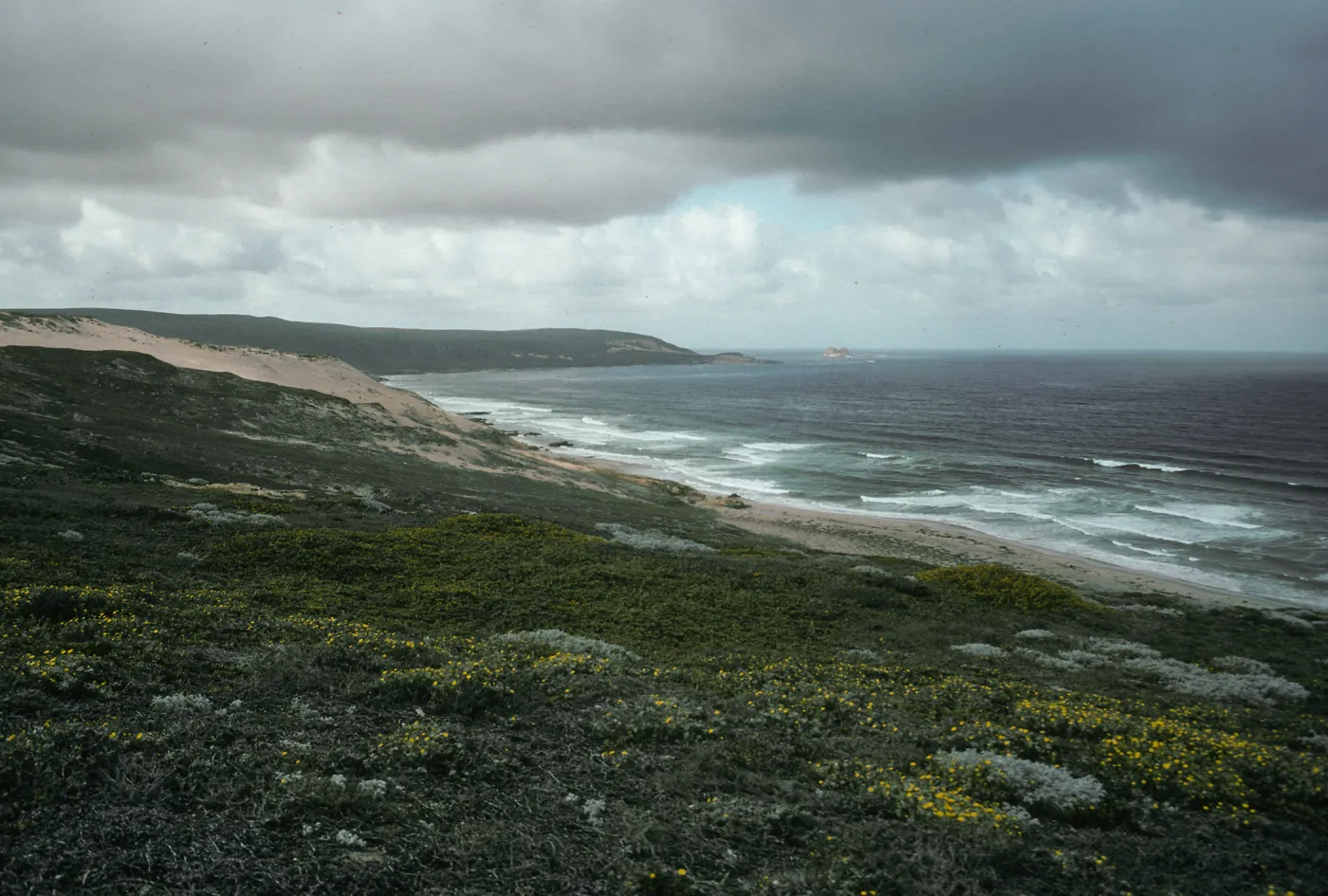 Looking West, Harris Point Peninsula, San Miguel Island