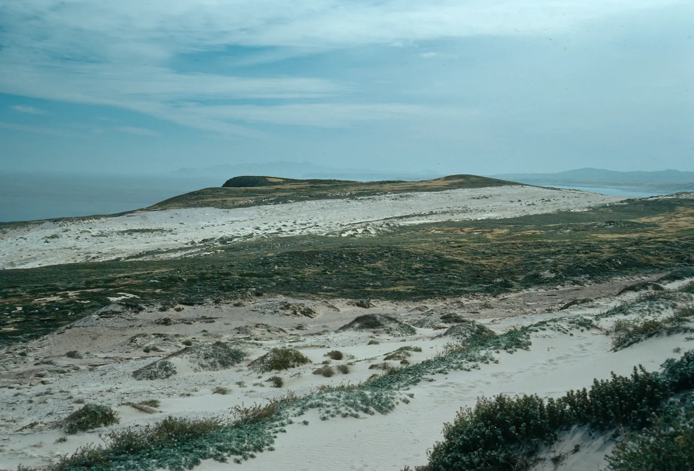 Sand Stripes above East Cuyler Harbor, San Miguel Island