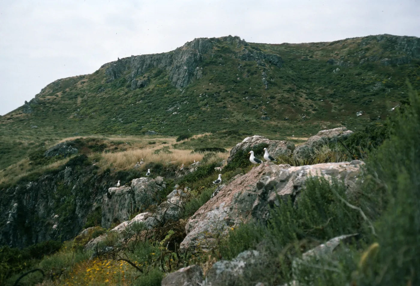 Todos Santos Islands, Northeast side of South Island