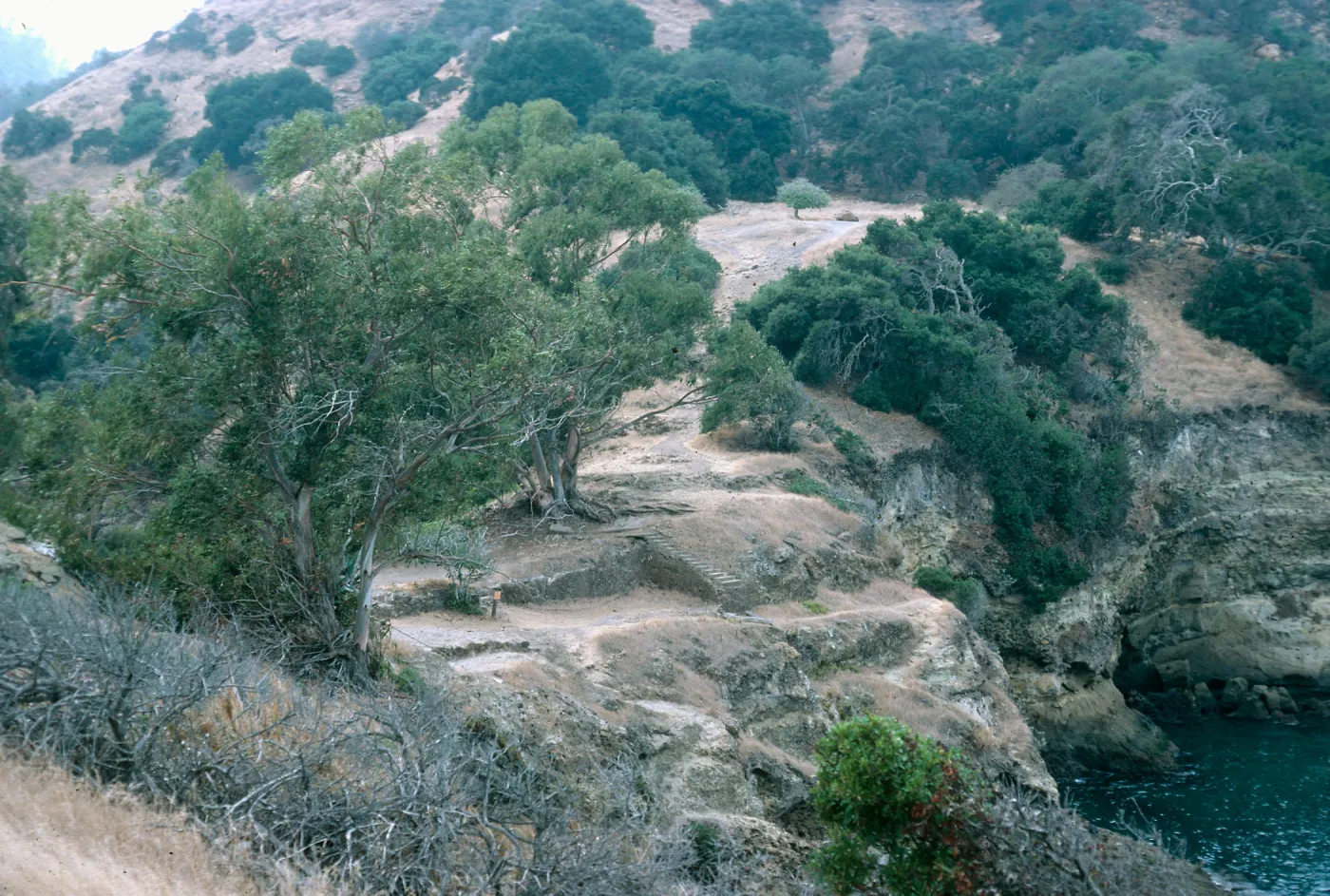 Santa Cruz Island, ruins, Pelican Bay