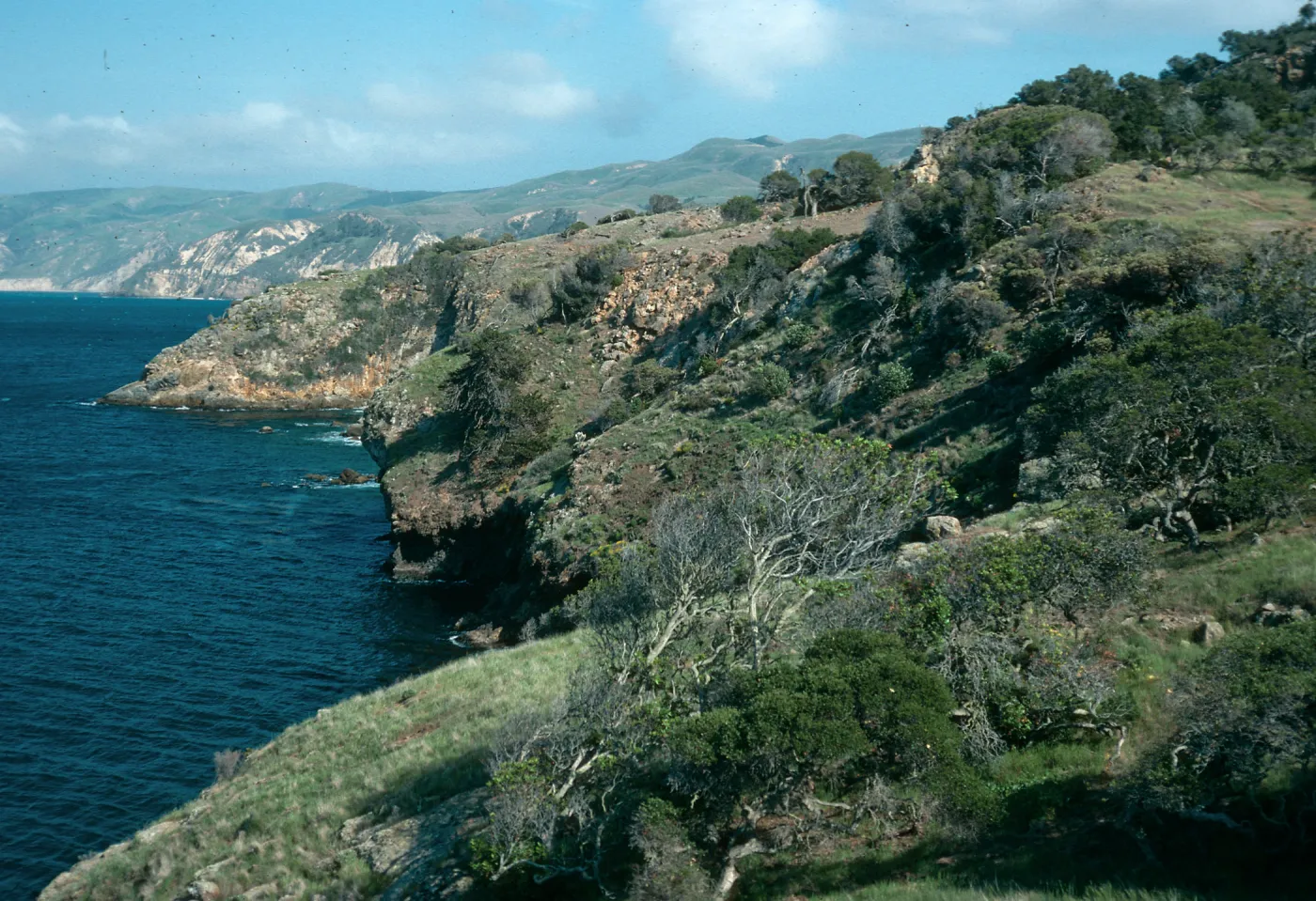 Santa Cruz Island, East of Pelican Bay