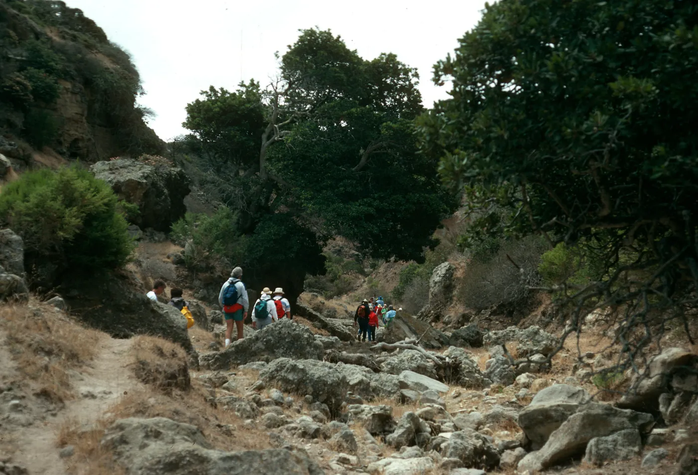 Santa Rosa Island, Cherry Canyon