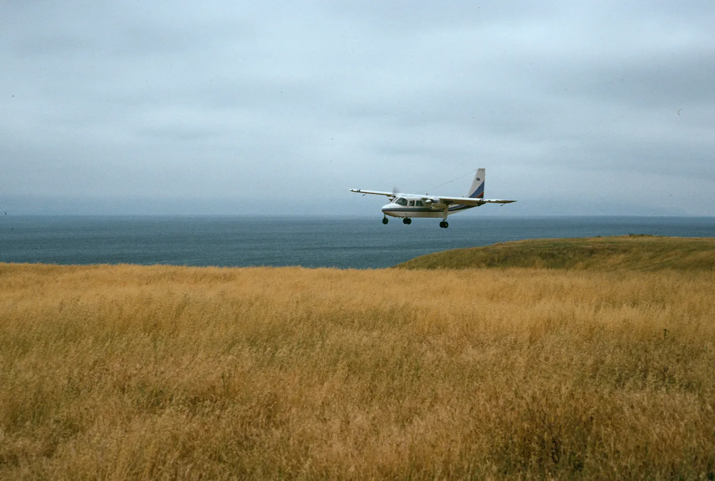 Santa Rosa Island, Islander, Beechers Bay