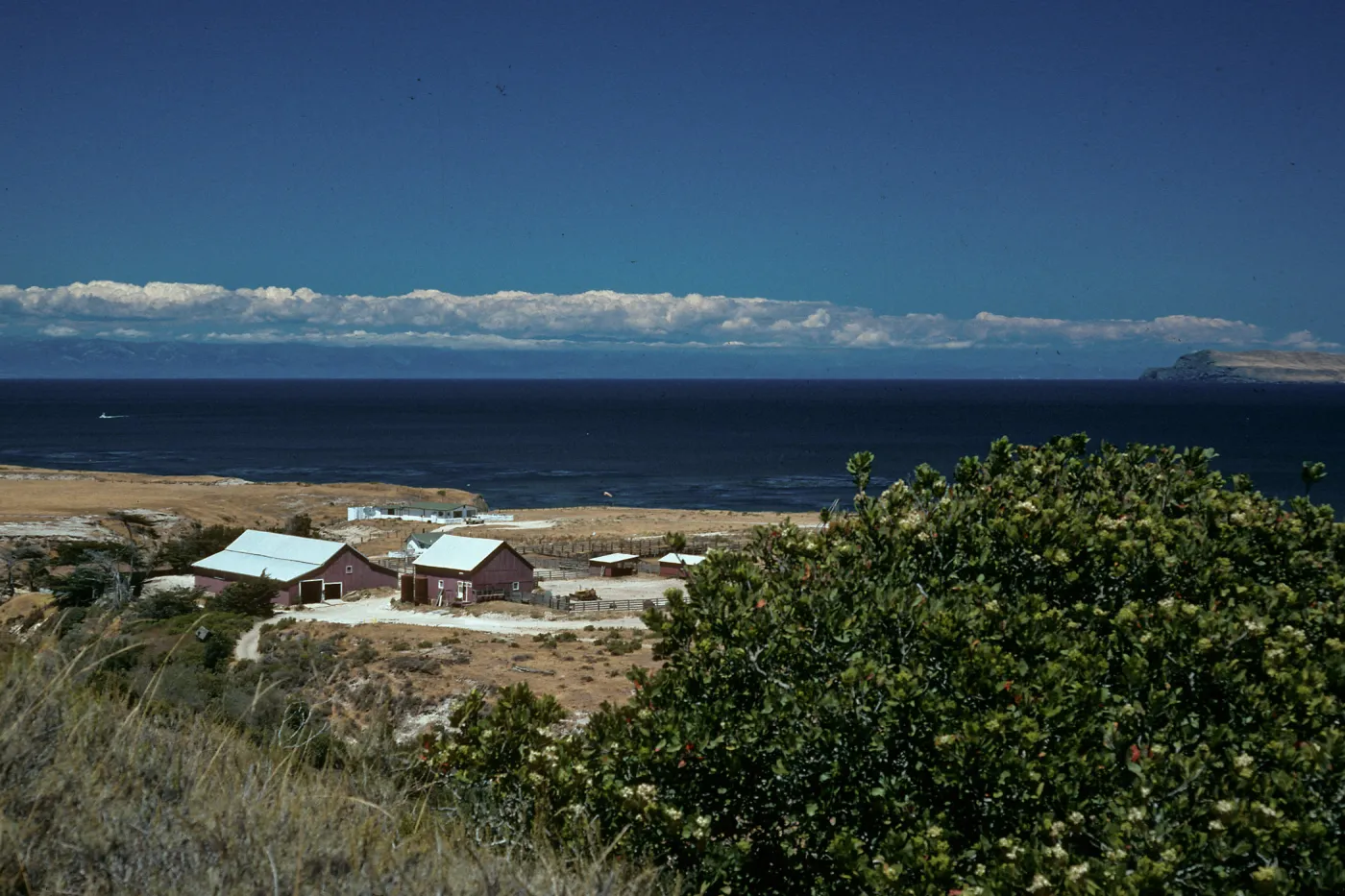 Santa Rosa Island, Vail Ranch