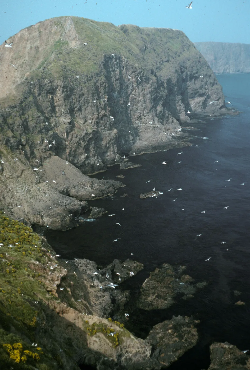 Middle Anacapa Island, overlooking East Fish Camp