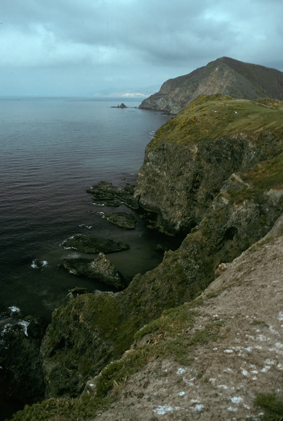 Middle Anacapa Island, view of S-facing side & West Anacapa Island