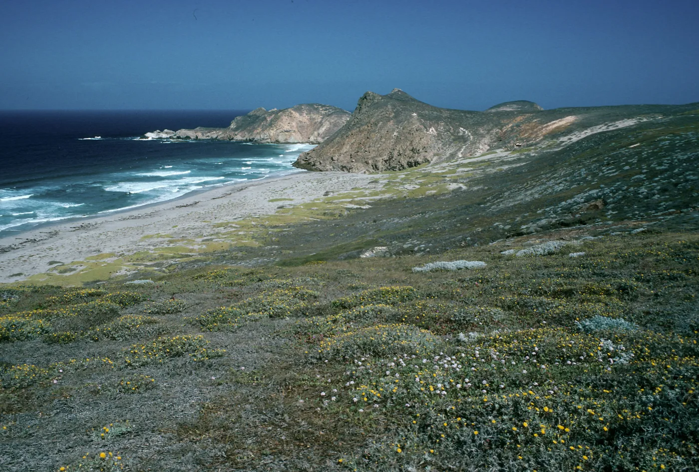 San Miguel Island, view of Harris Point & Lester Point