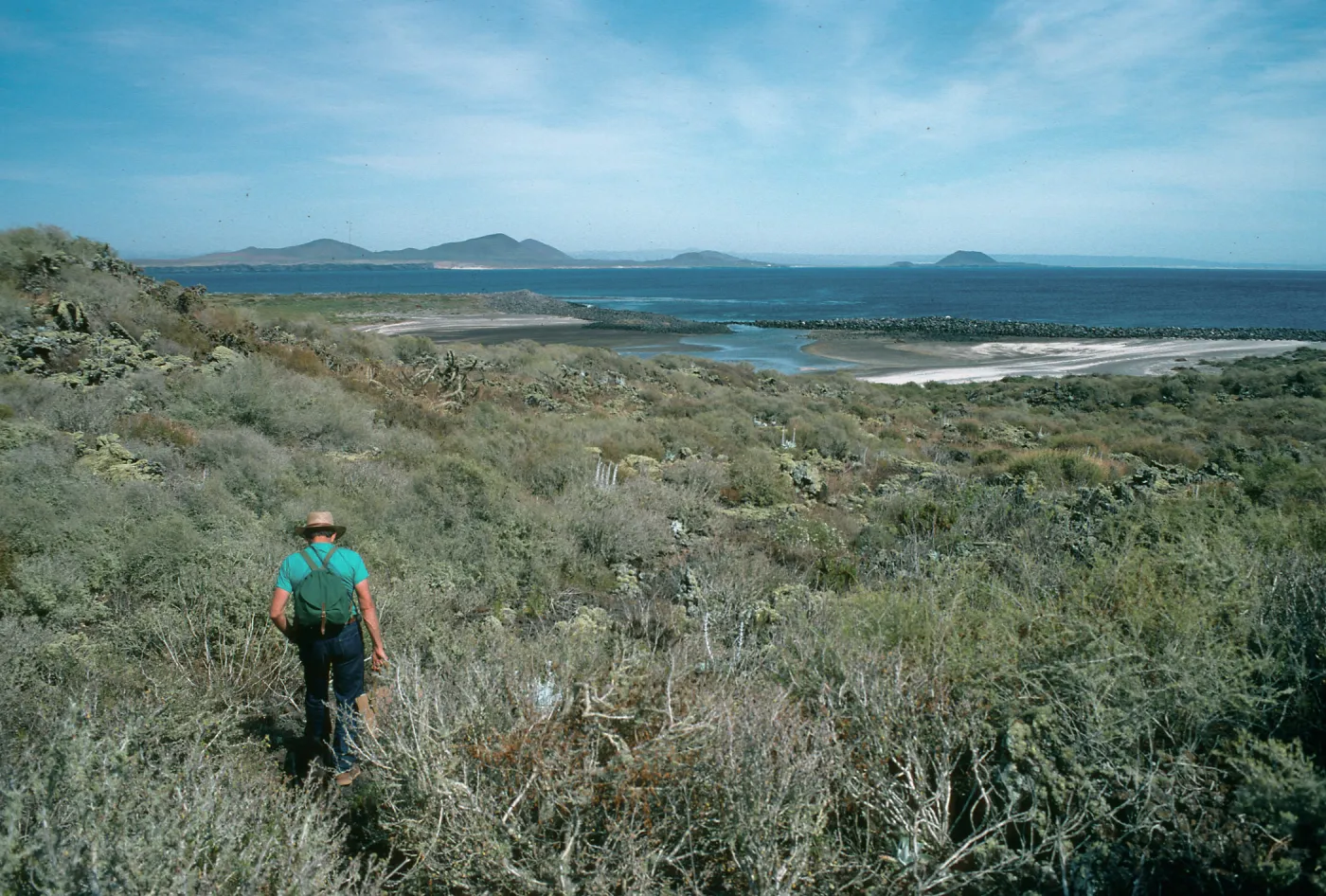 San Martin Island, Reid Moran, South end of trail to Picacho