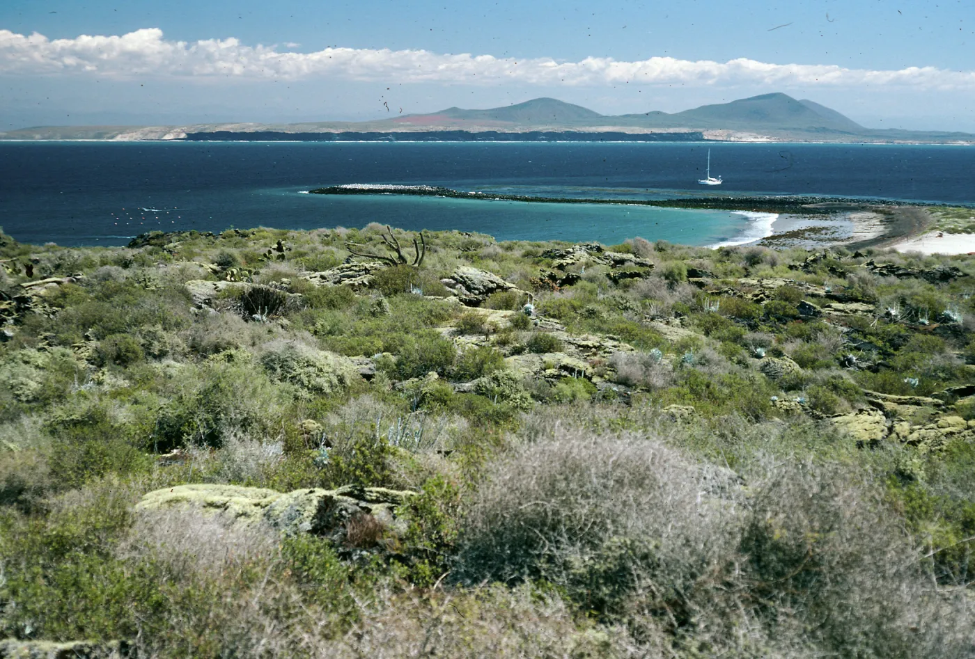 San Martin Island, view of mainland