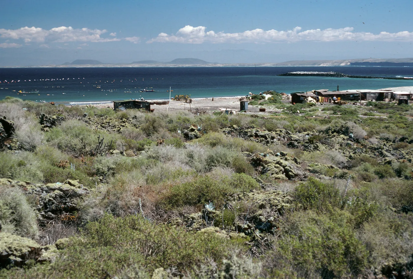 San Martin Island, Fish Camp, Hasslers Cove
