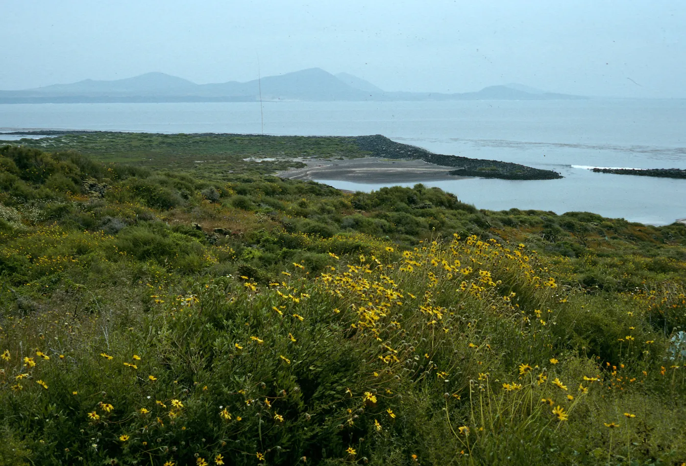 San Martin Island, Encelia, view of lagoon