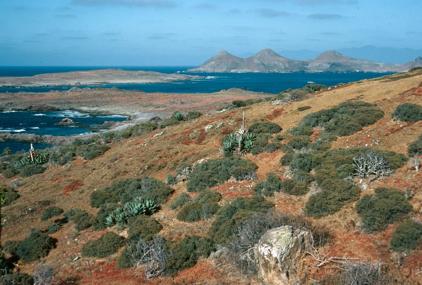 Looking from West San Benito Island towards Middle and East San Benito Islands