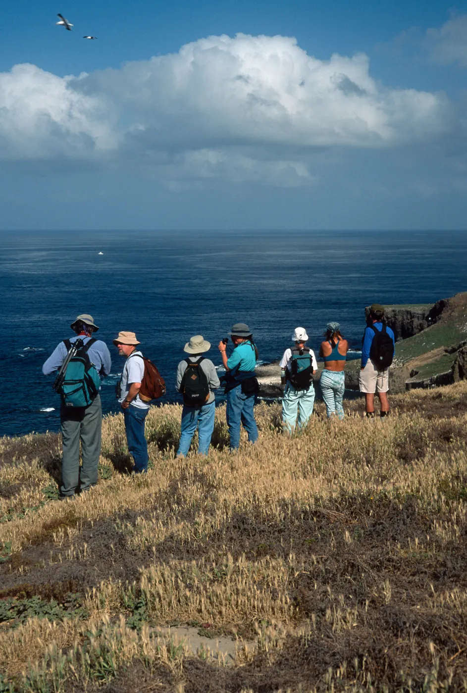 Santa Barbara Island, West side