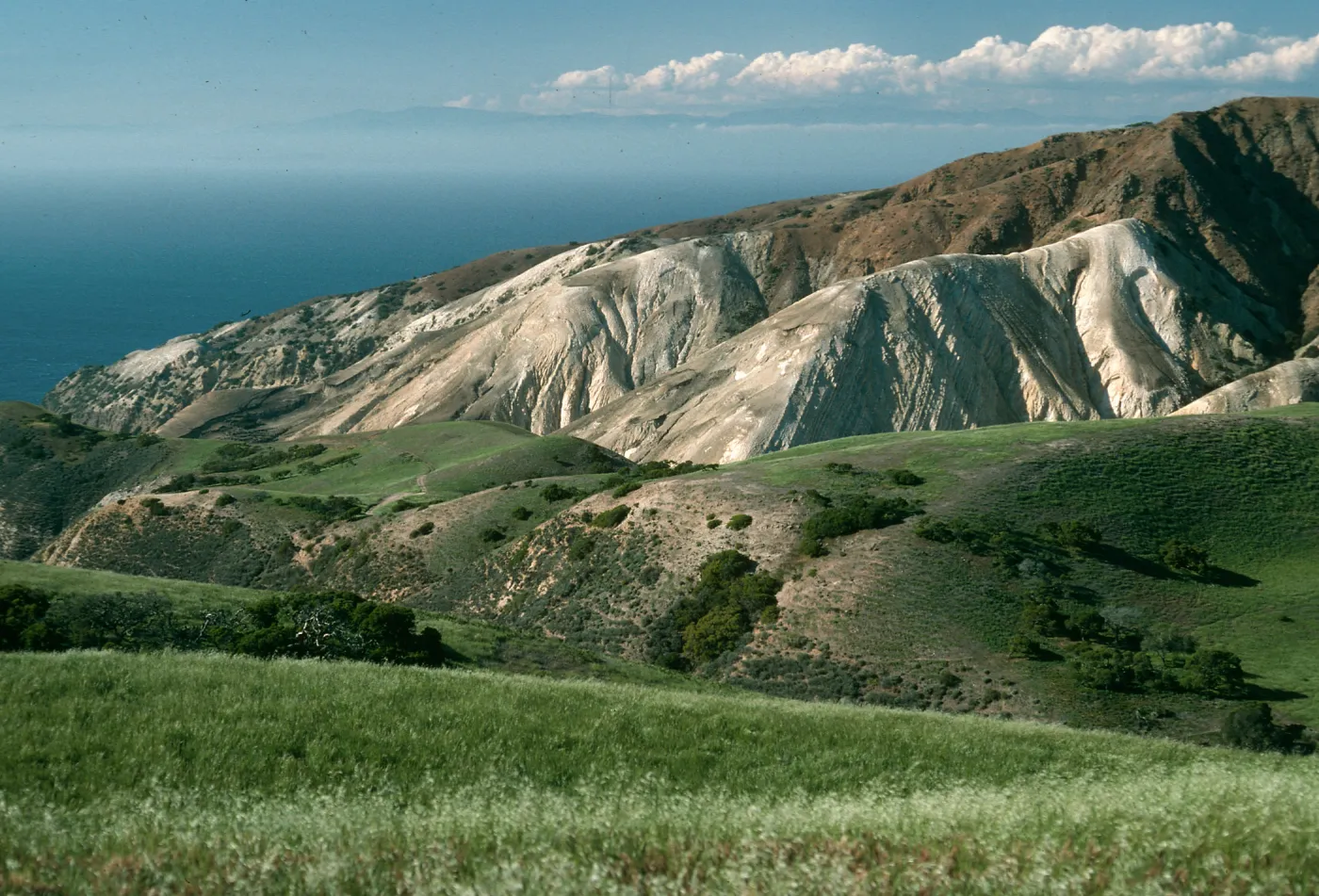 Santa Cruz Island, near China Pines