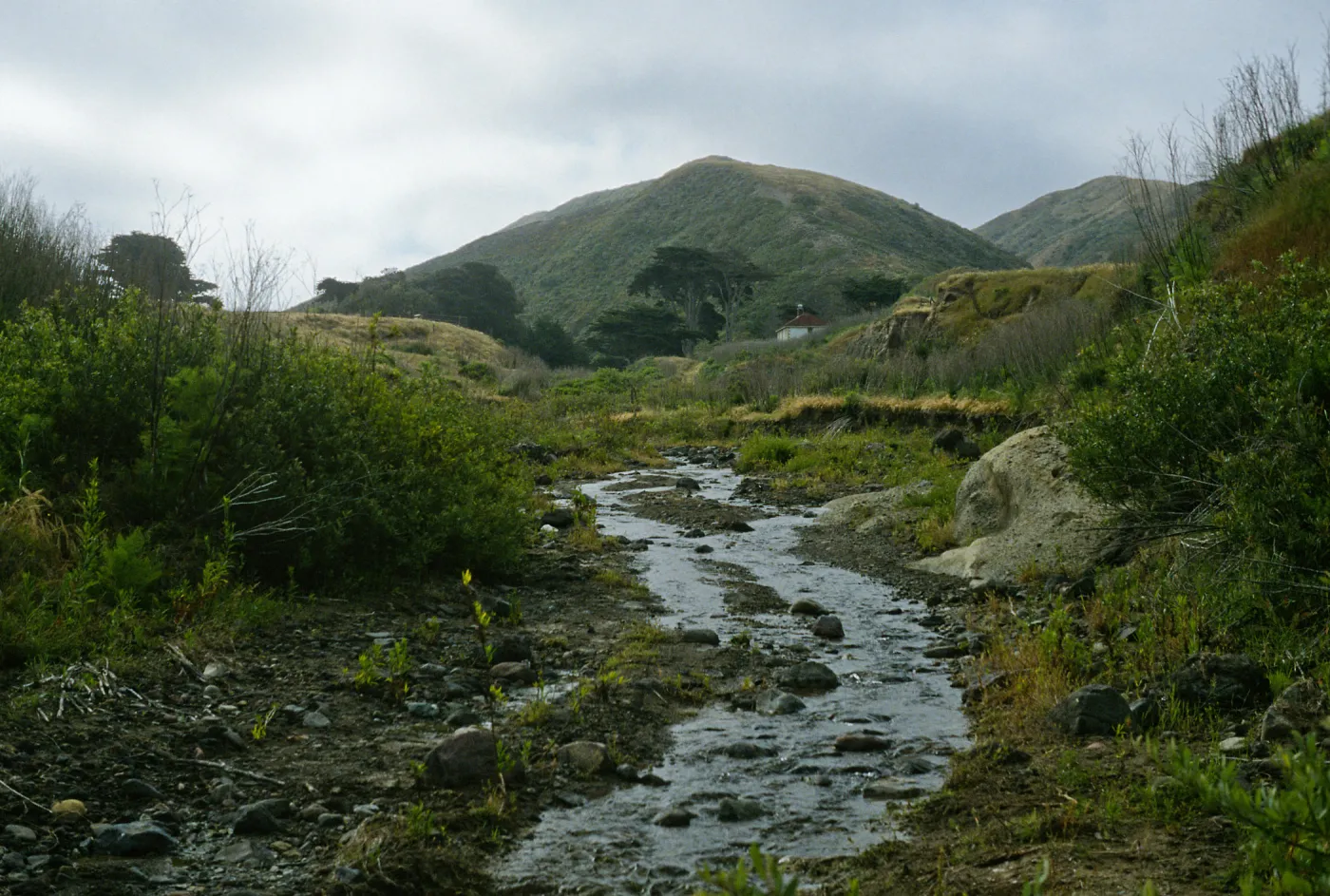 lower Christy Creek, Santa Cruz Island