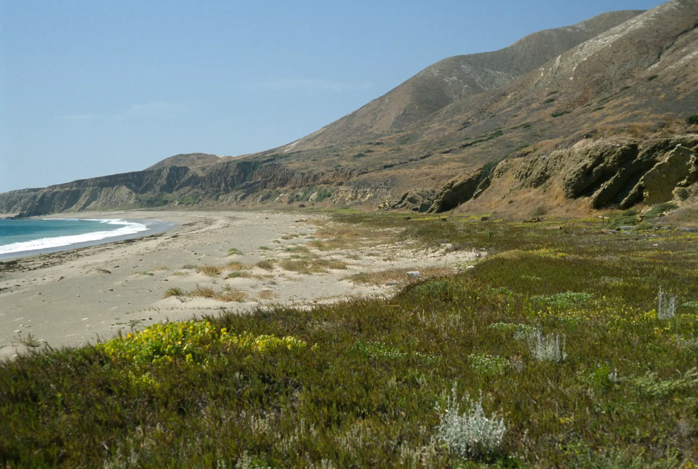 Pozo Beach, looking West, Santa Cruz Island