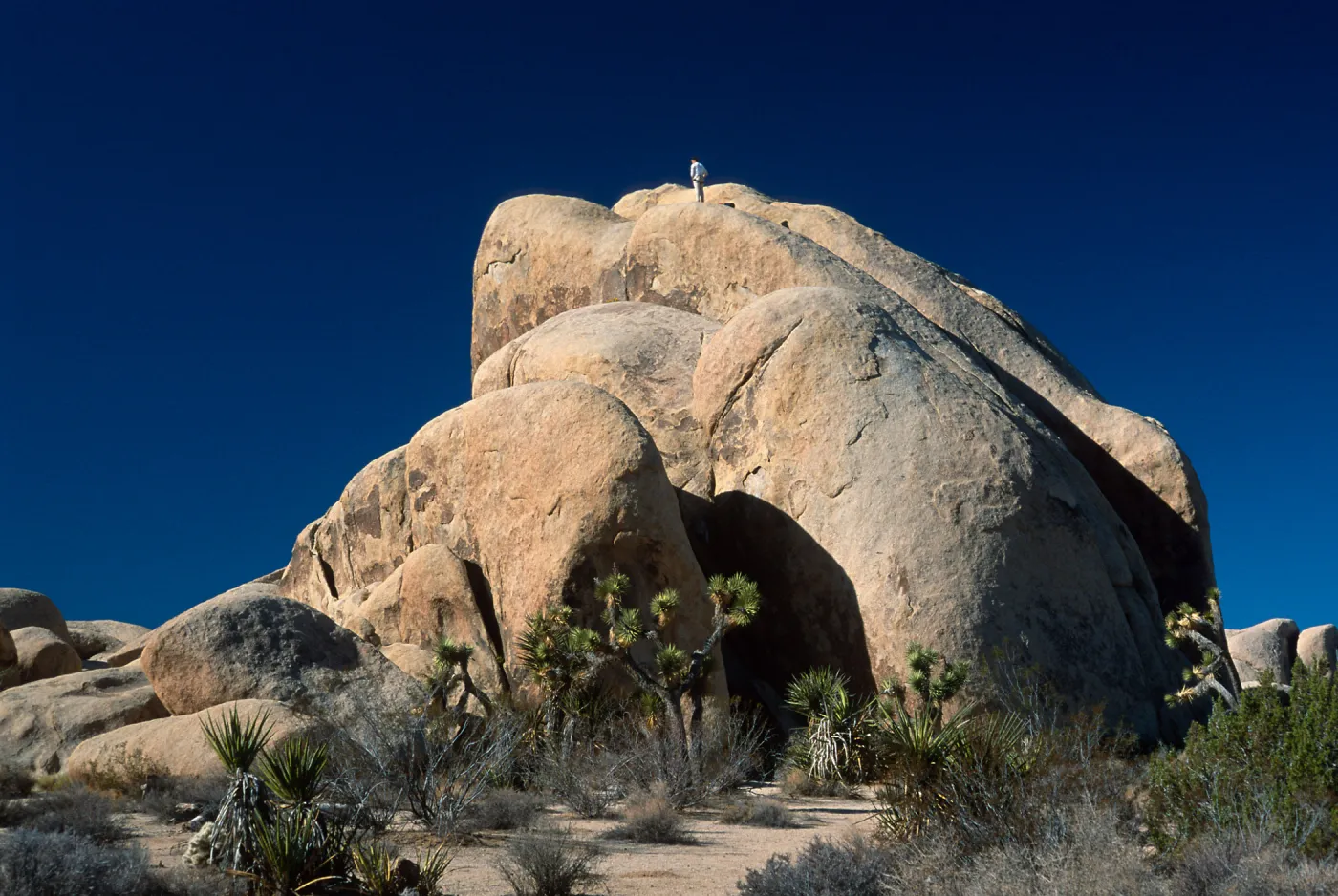 rock climbers, Belle Campground, Joshua Tree National Park
