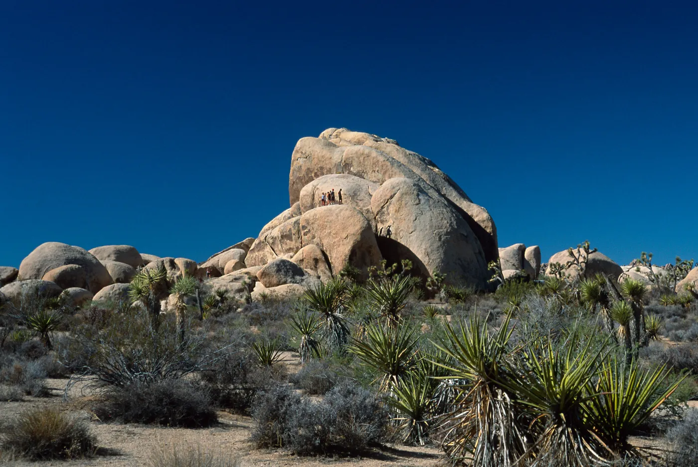 rock climbers, Belle Campground, Joshua Tree National Park
