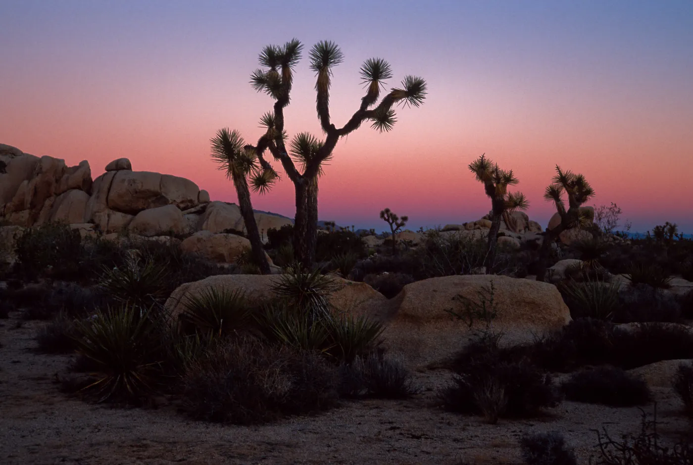 sunset, near Belle Campground, Joshua Tree National Park