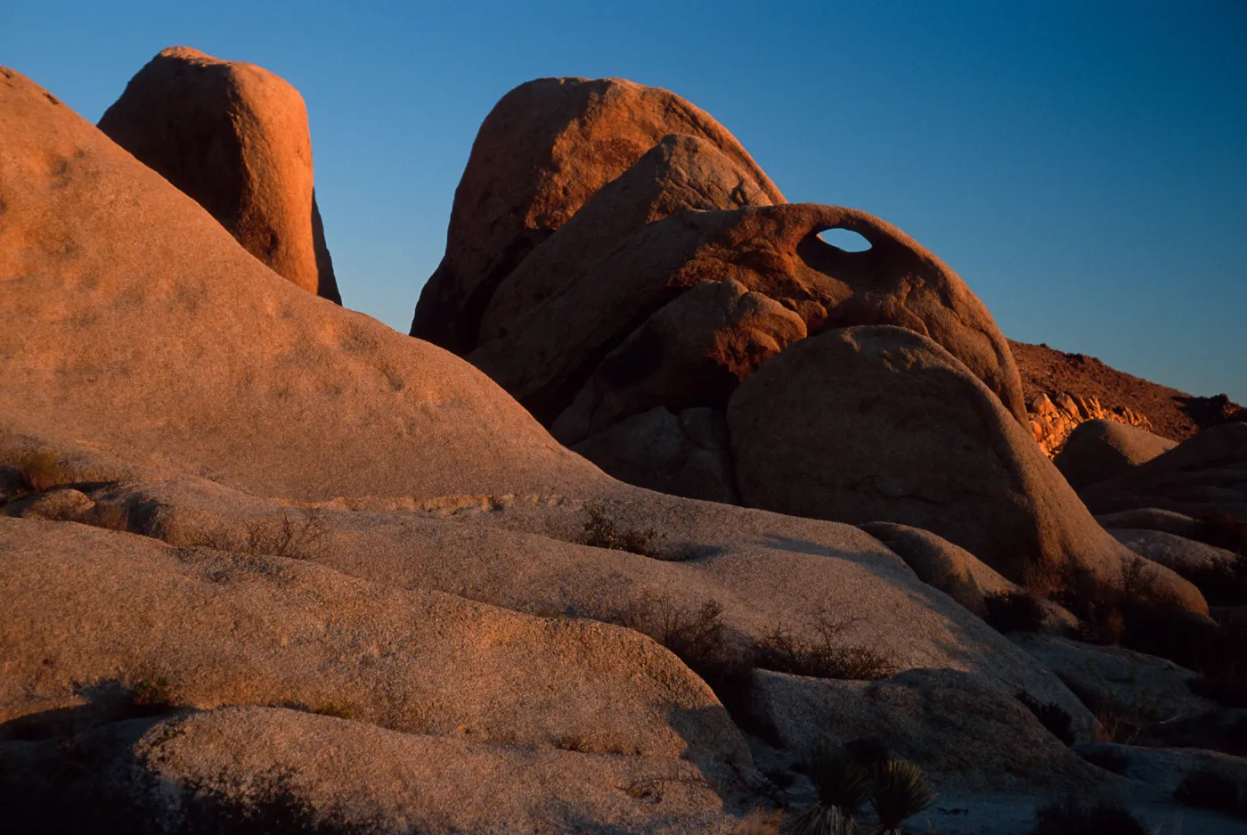rocks, near Belle Campground, Joshua Tree National Park