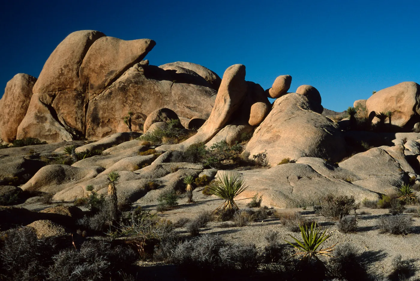 rocks, near Belle Campground, Joshua Tree National Park