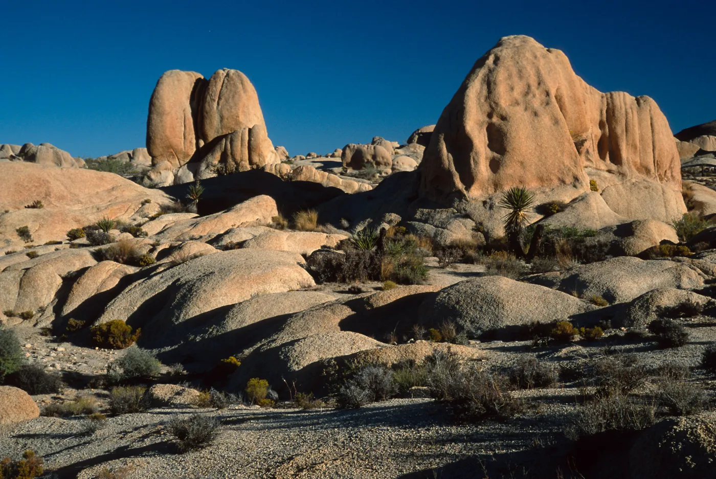 rocks, near Belle Campground, Joshua Tree National Park
