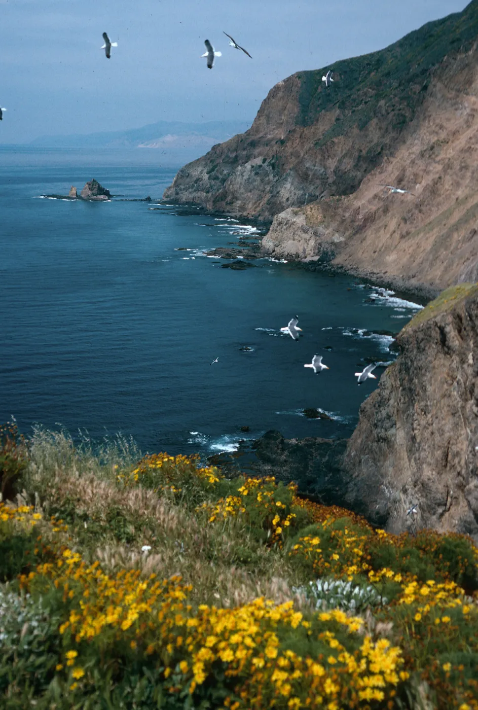 view of South side & Cat Rock, Middle Anacapa Island