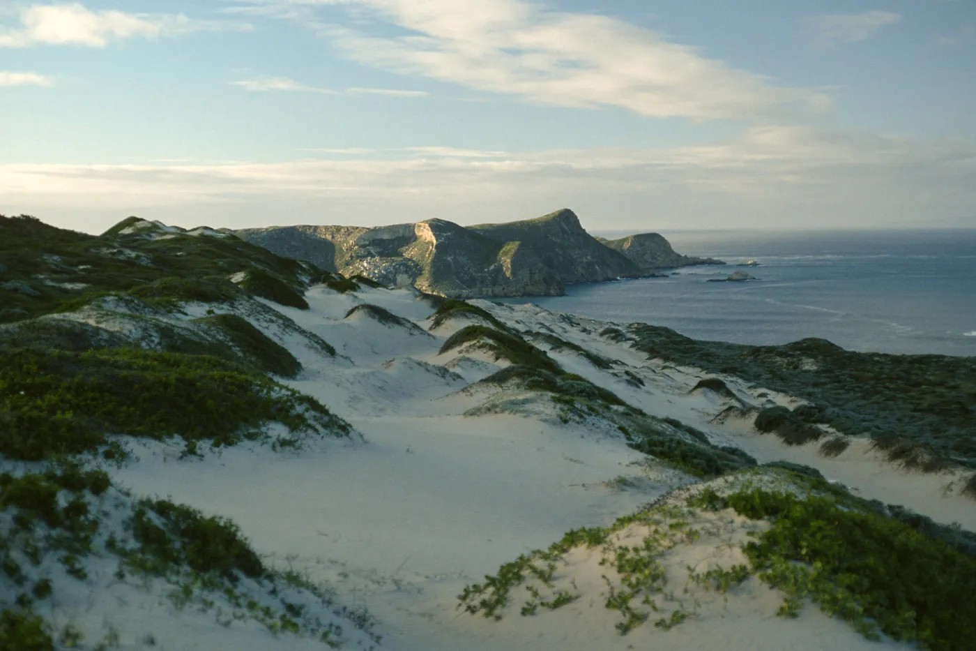 dunes above Cuyler Harbor, San Miguel Island