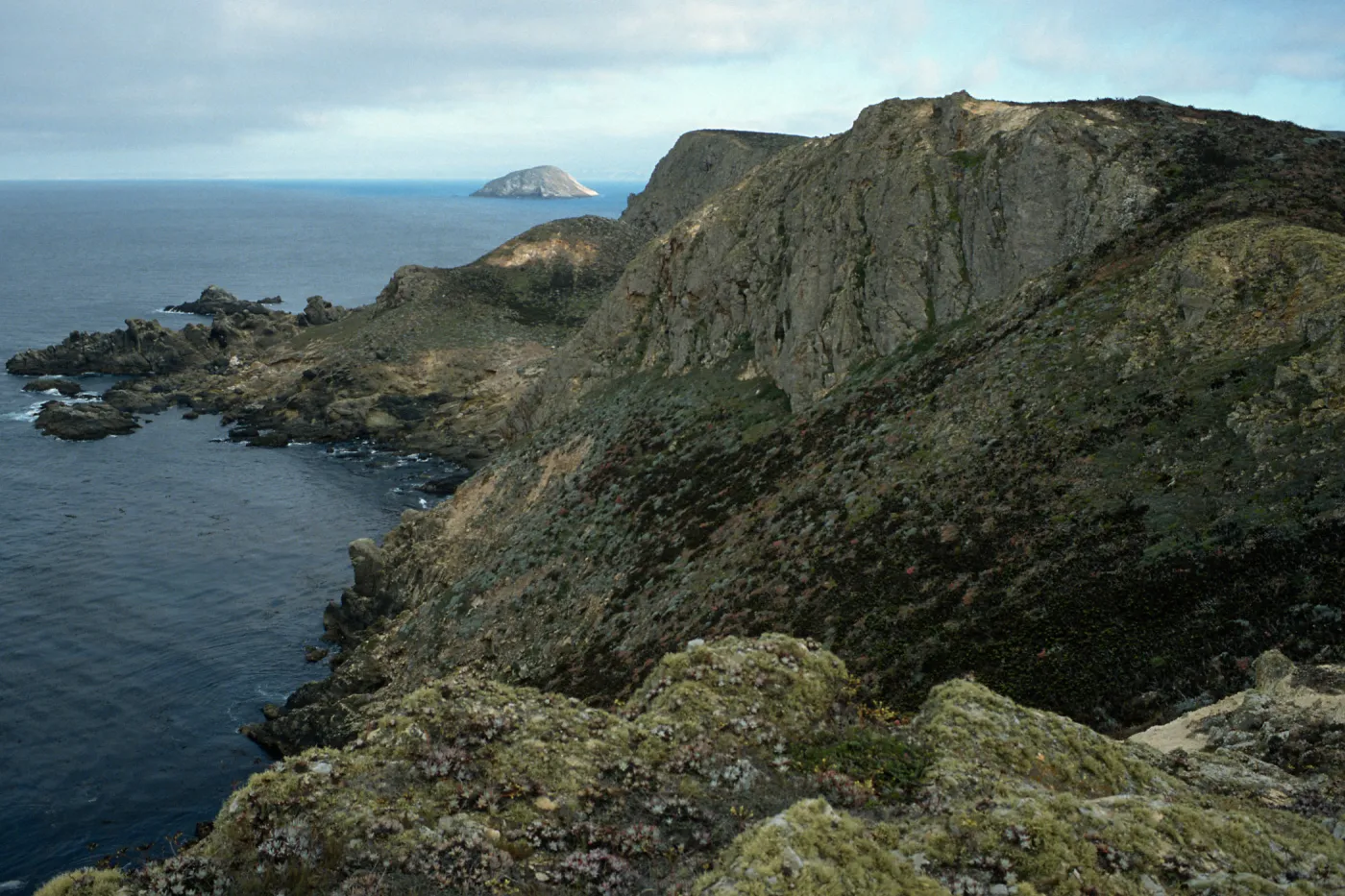Harris Point, San Miguel Island