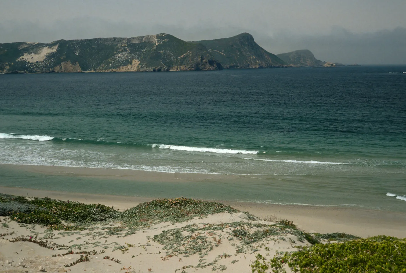 beach at Cuyler Harbor, San Miguel Island
