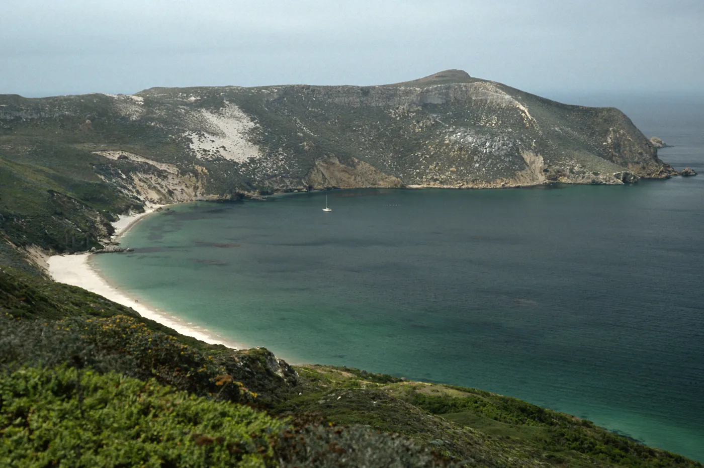 Cuyler Harbor, along trail to Harris Point, San Miguel Island