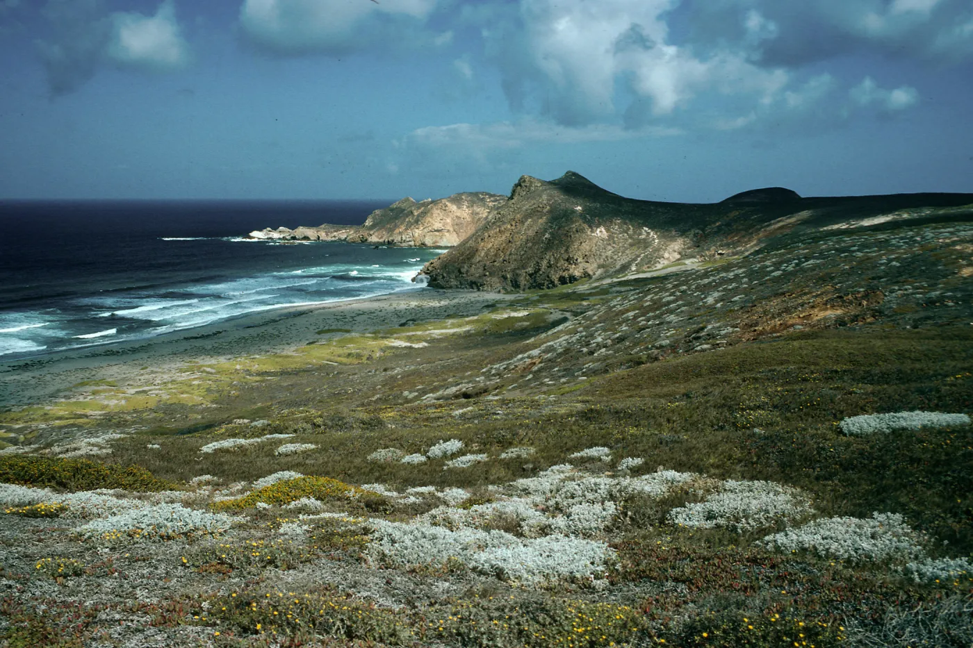 view of Harris Point & Lester Point, San Miguel Island