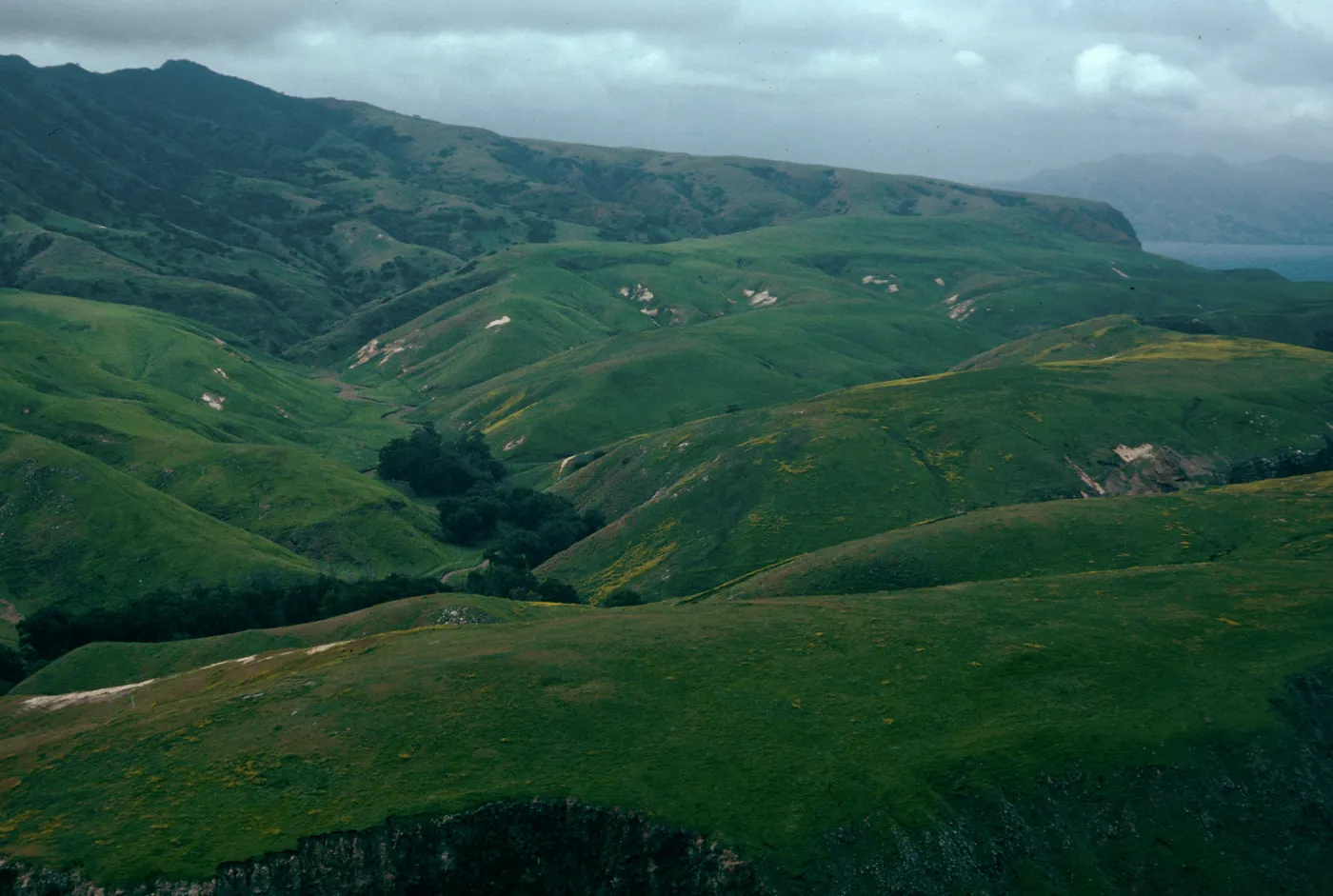 Scorpion Canyon, Santa Cruz Island