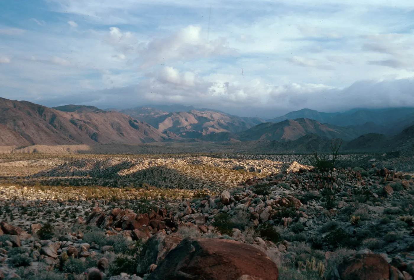 Torute Bowl Trail, Bow Willow, Anza Borrego