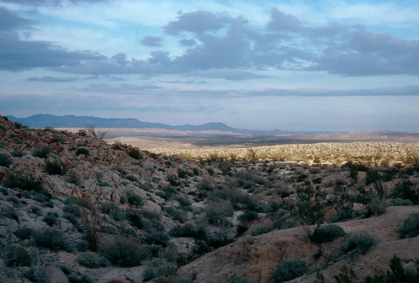 Torute Bowl Trail, Bow Willow, Anza Borrego