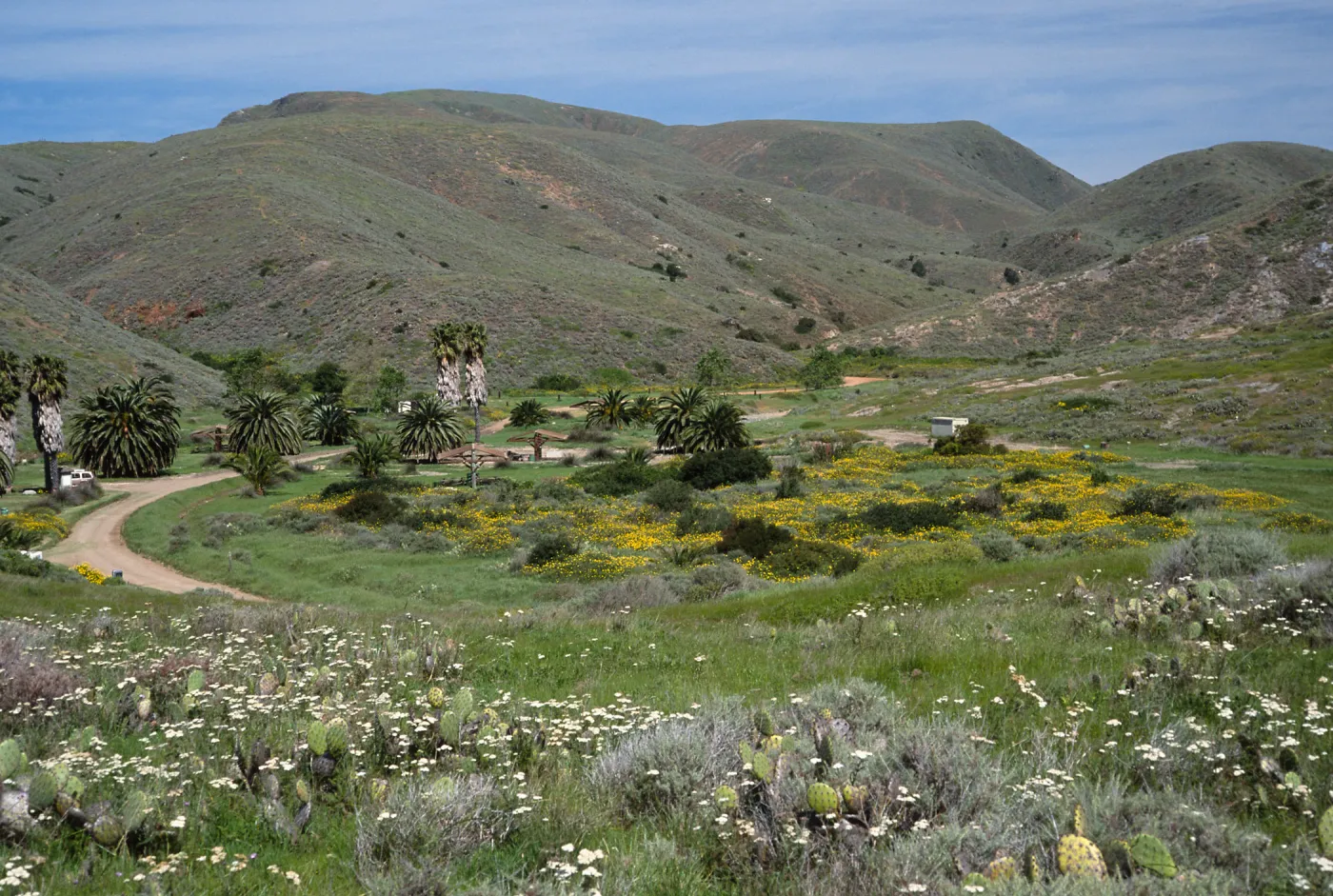 Little Harbor campground, Catalina Island