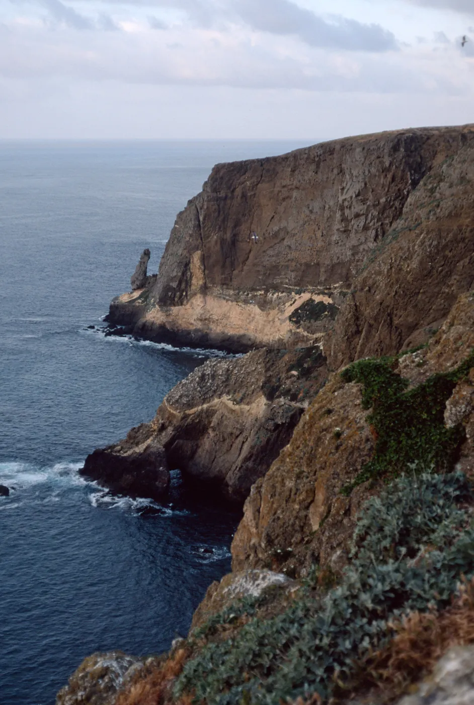North Peak, Santa Barbara Island