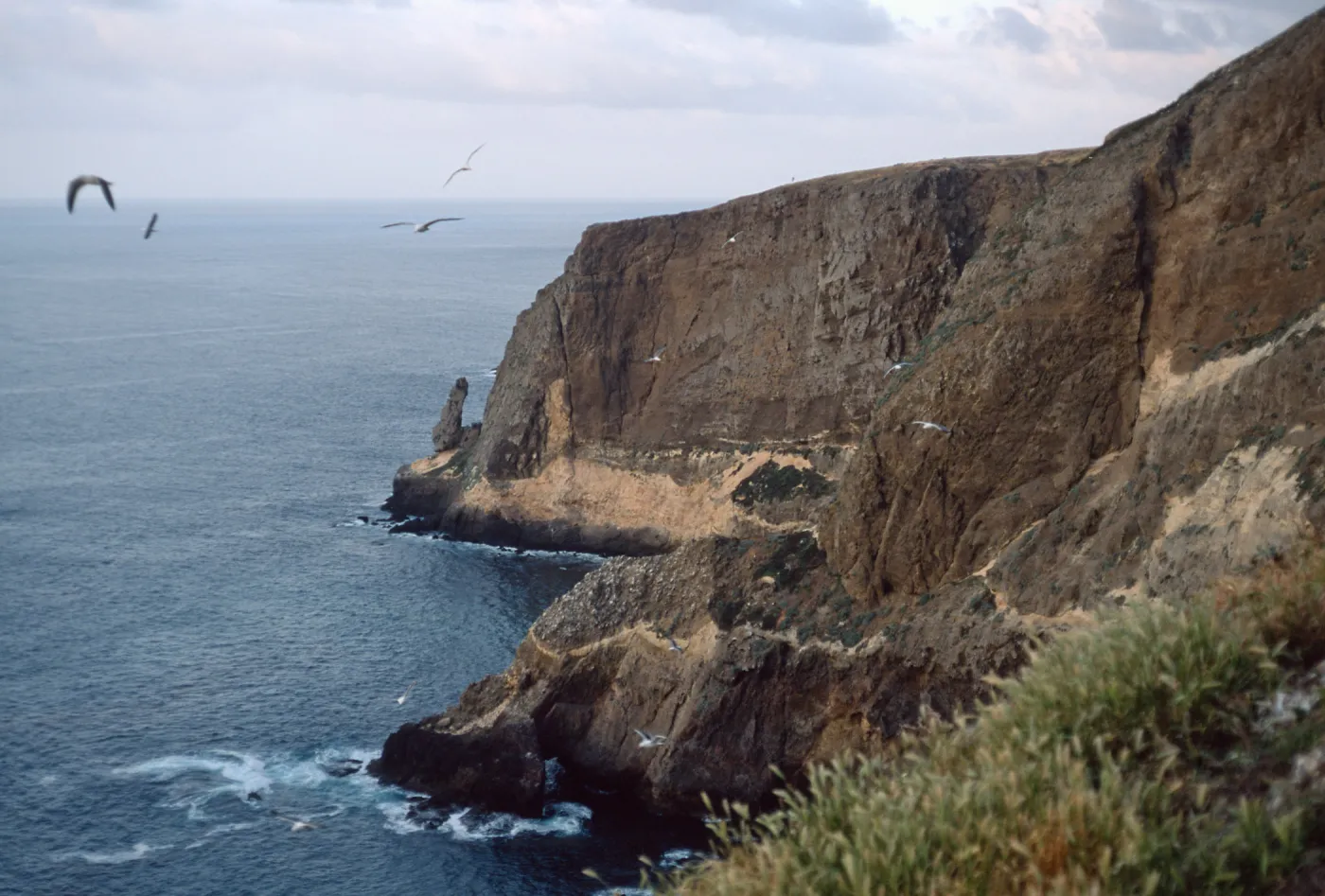 North Peak, Santa Barbara Island