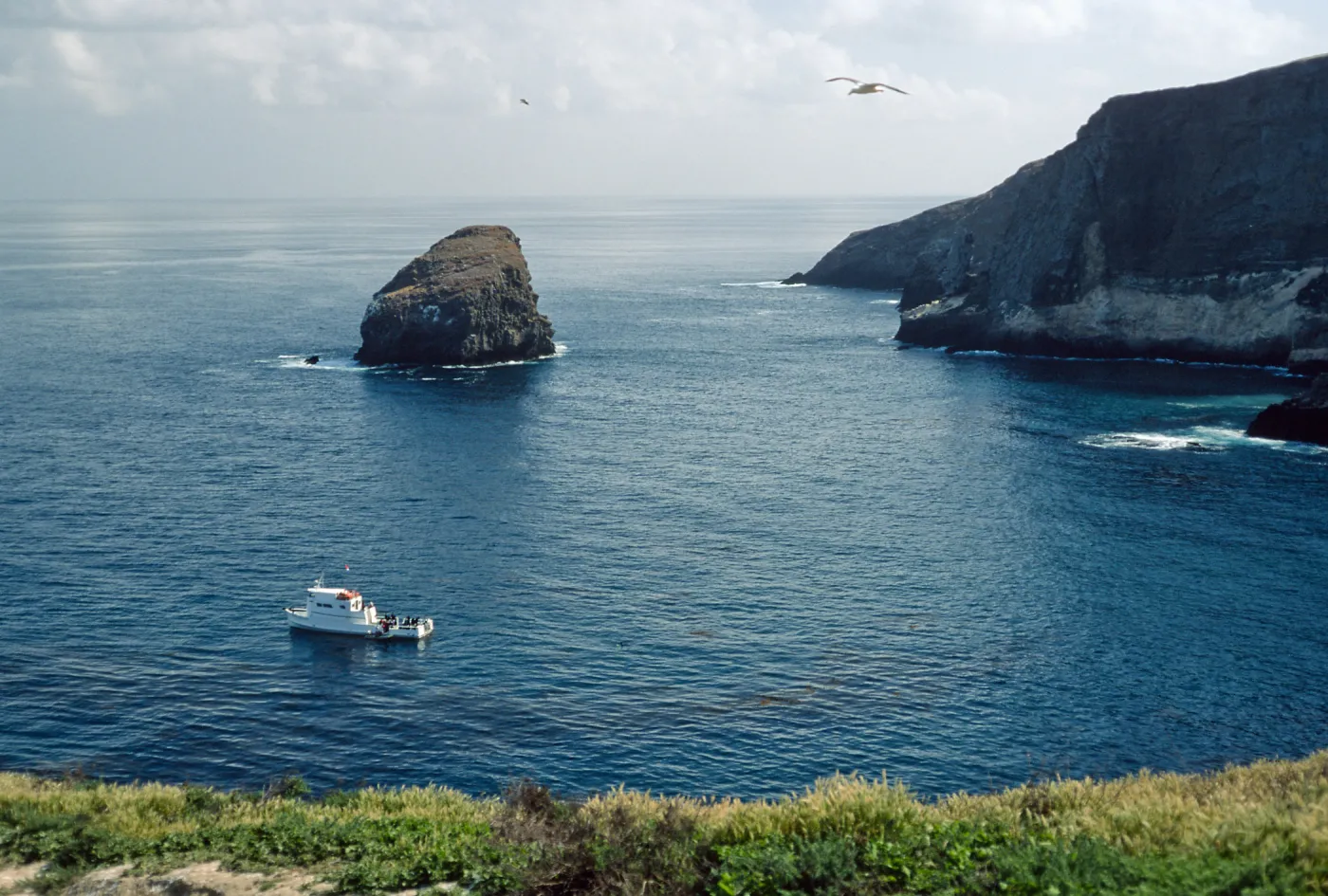 dive boat, North end, Santa Barbara Island