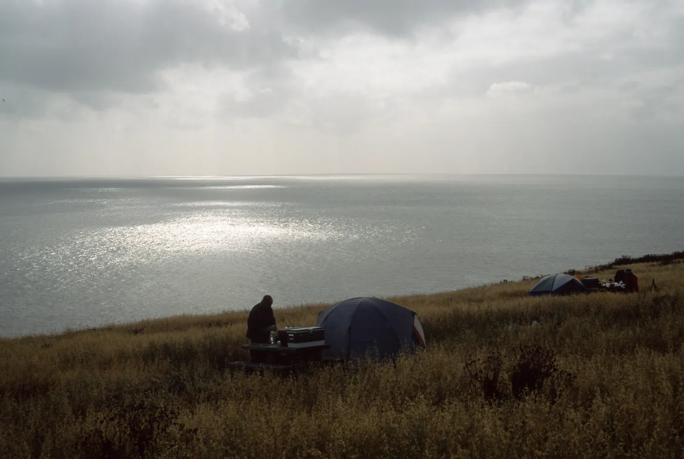 campground, early morning, Santa Barbara Island