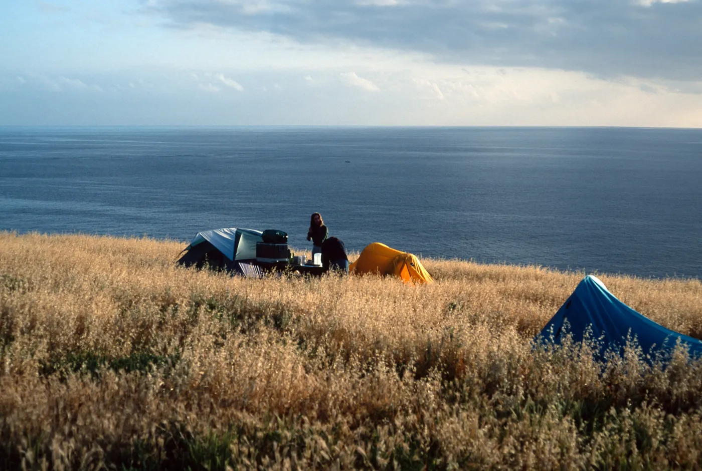 campground, Santa Barbara Island