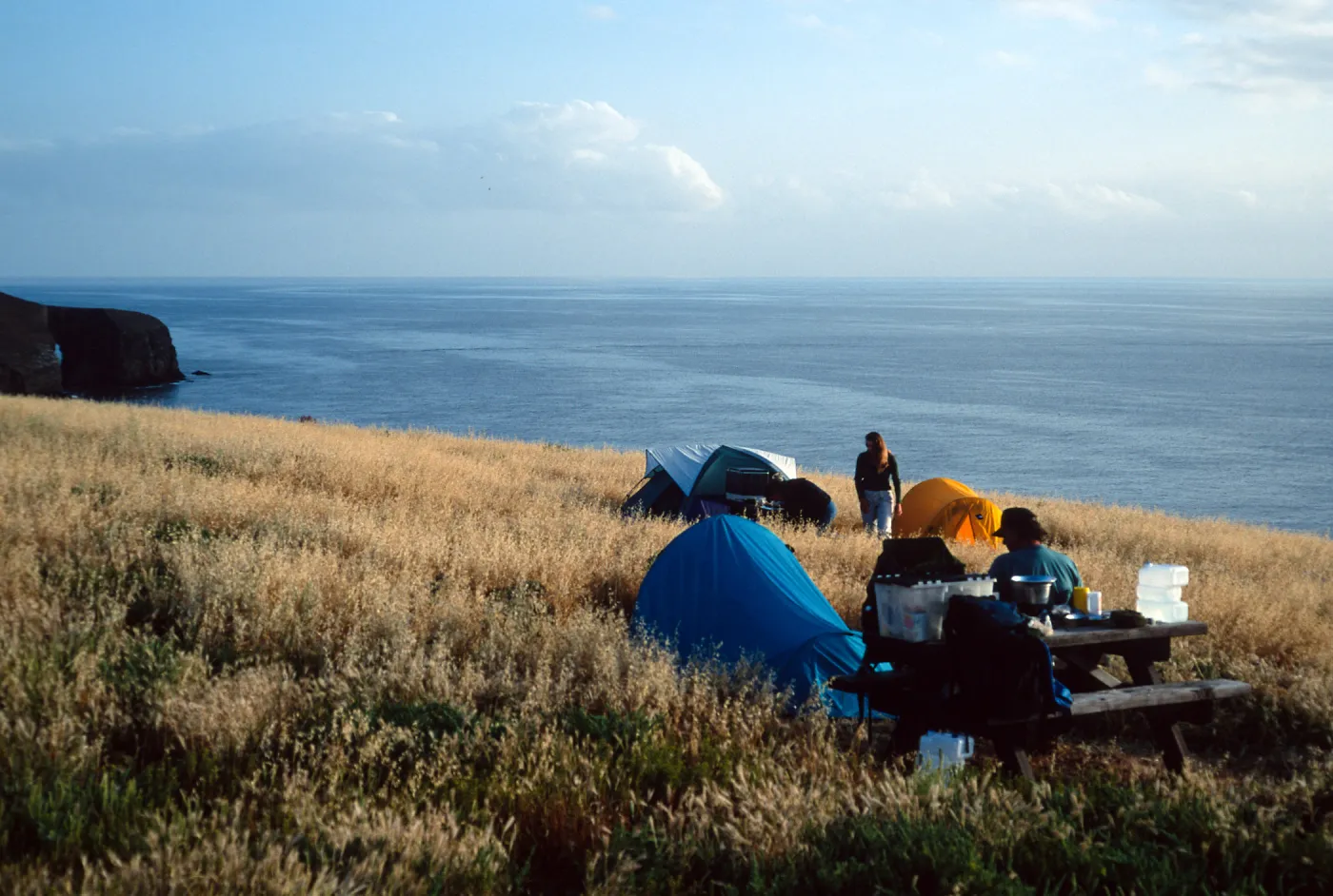 campground, Santa Barbara Island