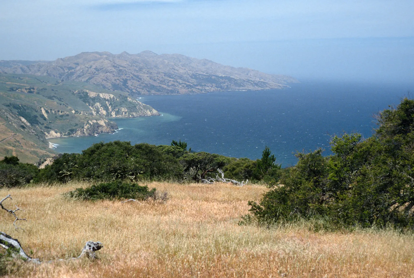 looking West from China Pines, Santa Cruz Island