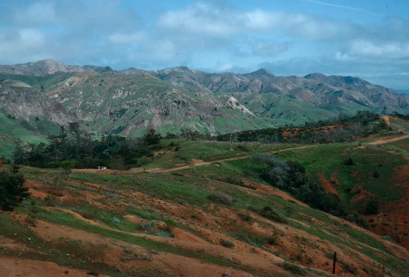 South Ridge Road at Centinela Connector Road, Santa Cruz Island