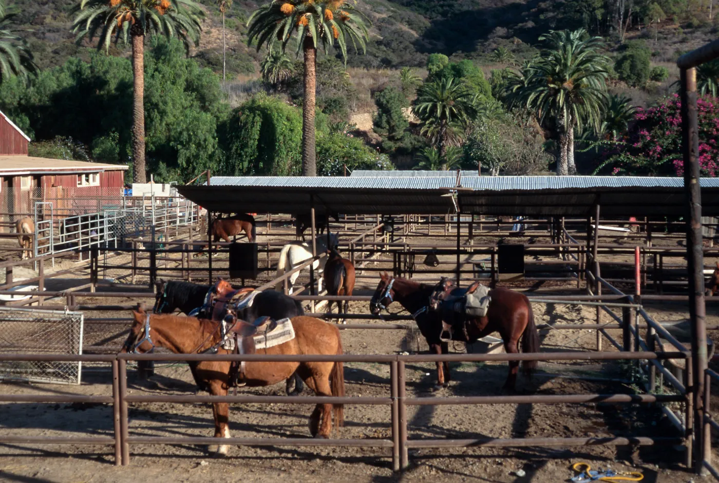 stables, Avalon Canyon, Santa Catalina Island