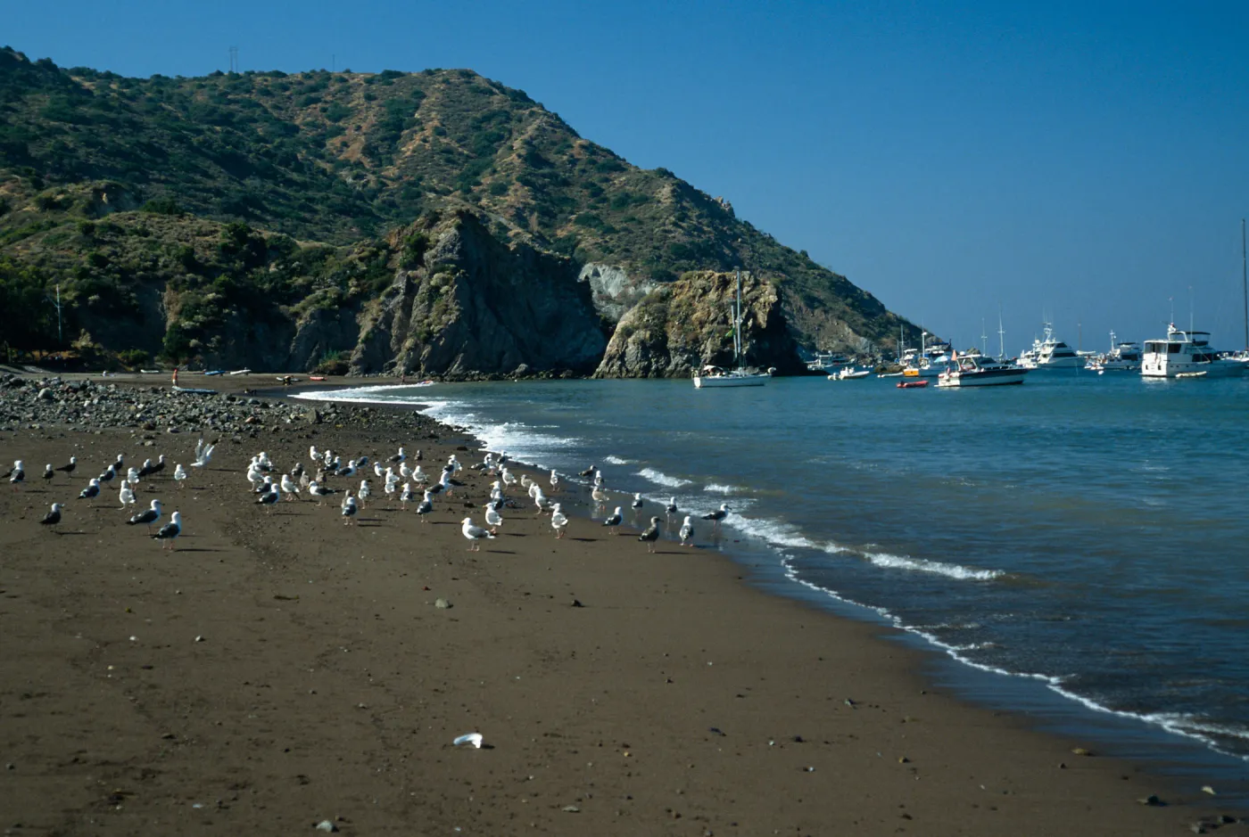 Whites Landing, Santa Catalina Island
