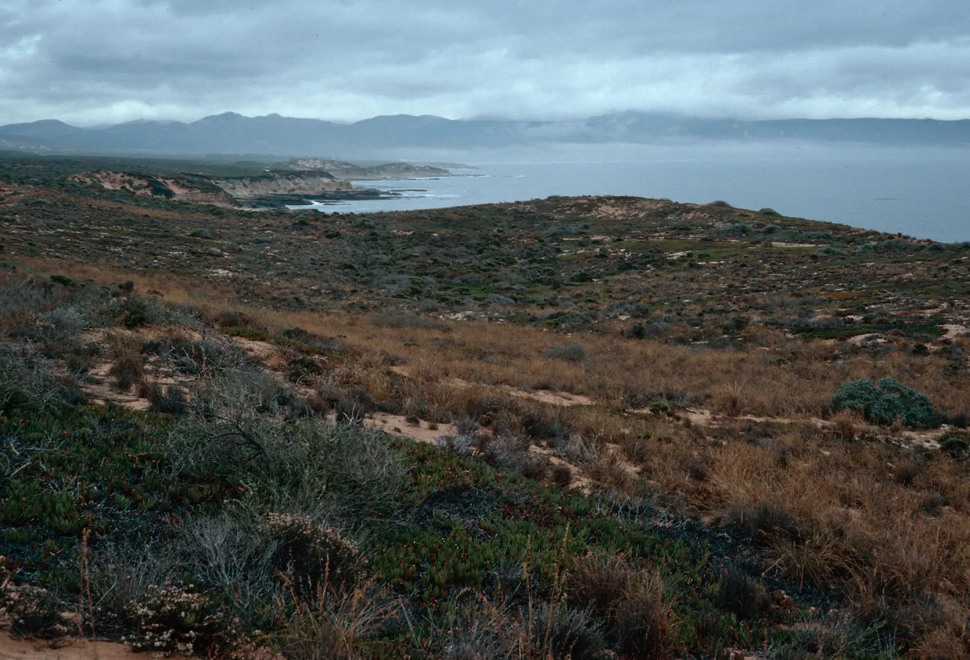 dunes at end of Spur Road, Vandenberg AFB