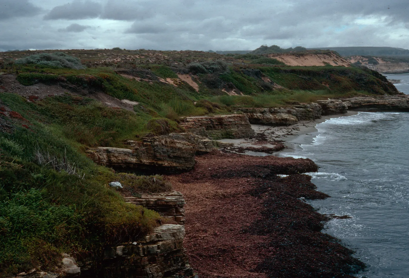 coastline, end of Spur Road, Vandenberg AFB