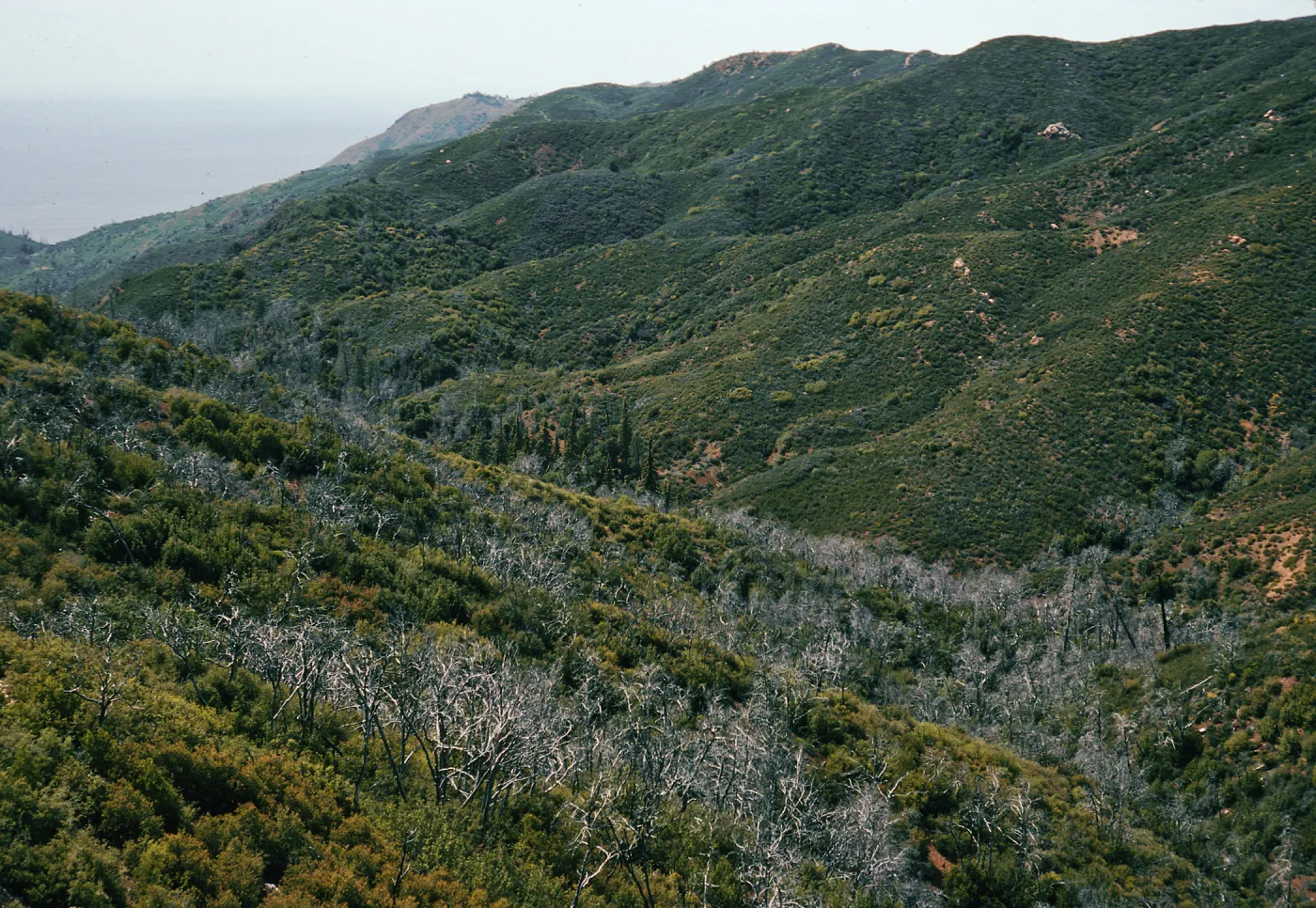 Villa Creek view, Lions Den, Big Sur, Monterey County