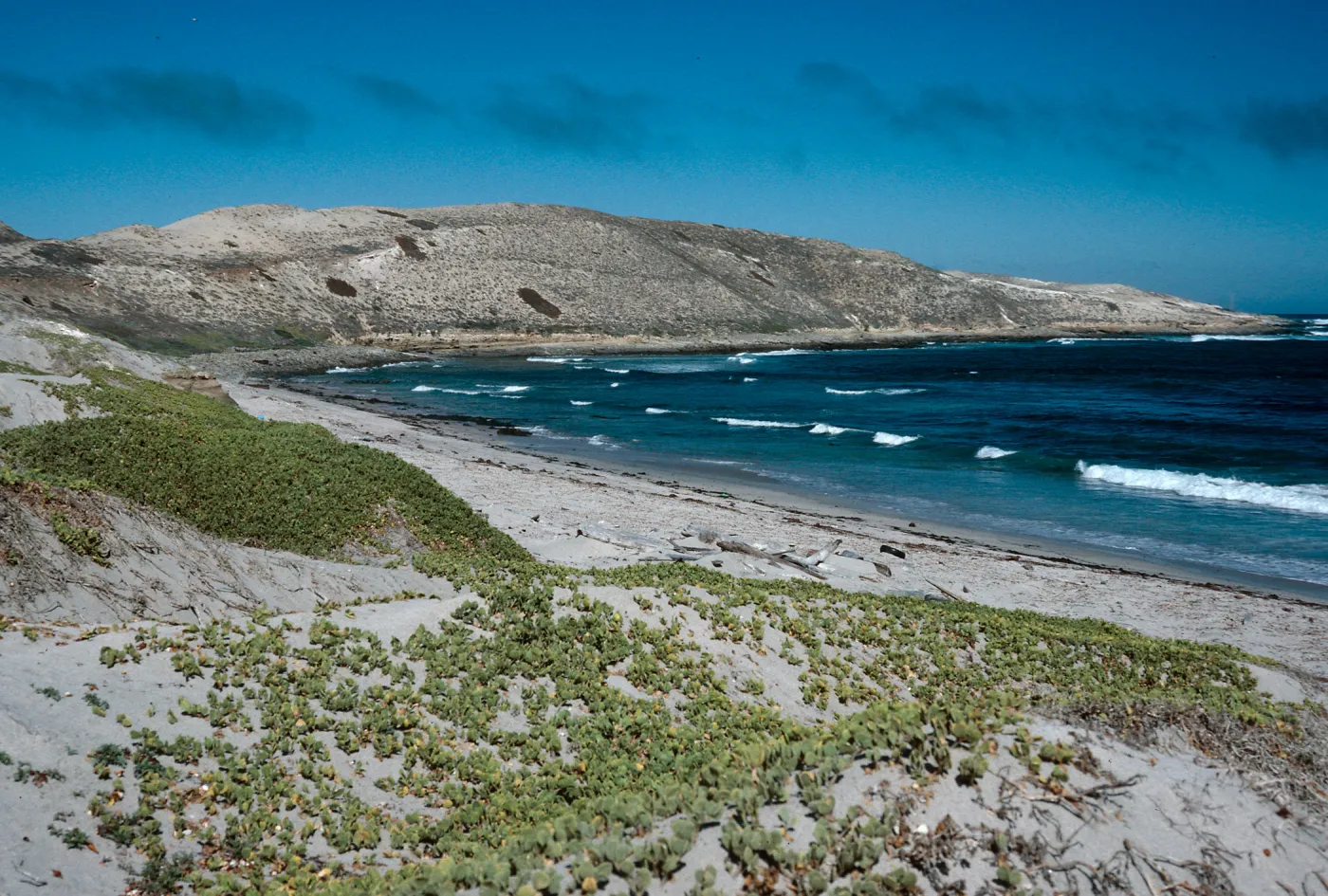 Red Eye Beach, San Nicolas Island